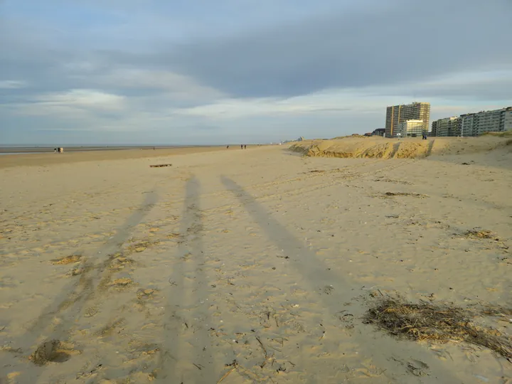 Oostnieuwkerke duinen wandeling in de koude (België)